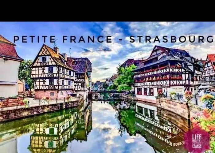 Bubble Relaxation And Modernity In Apartamento