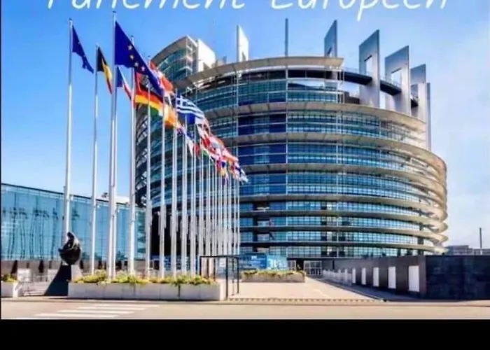 Apartment Bubble Relaxation And Modernity In Strasbourg