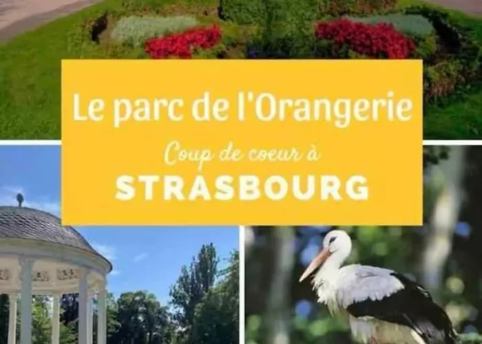 Bubble Relaxation And Modernity In Apartamento Estrasburgo